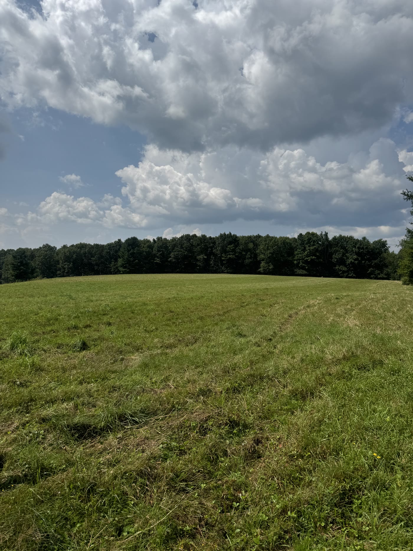 Site photo 2 at Liberty Power Park